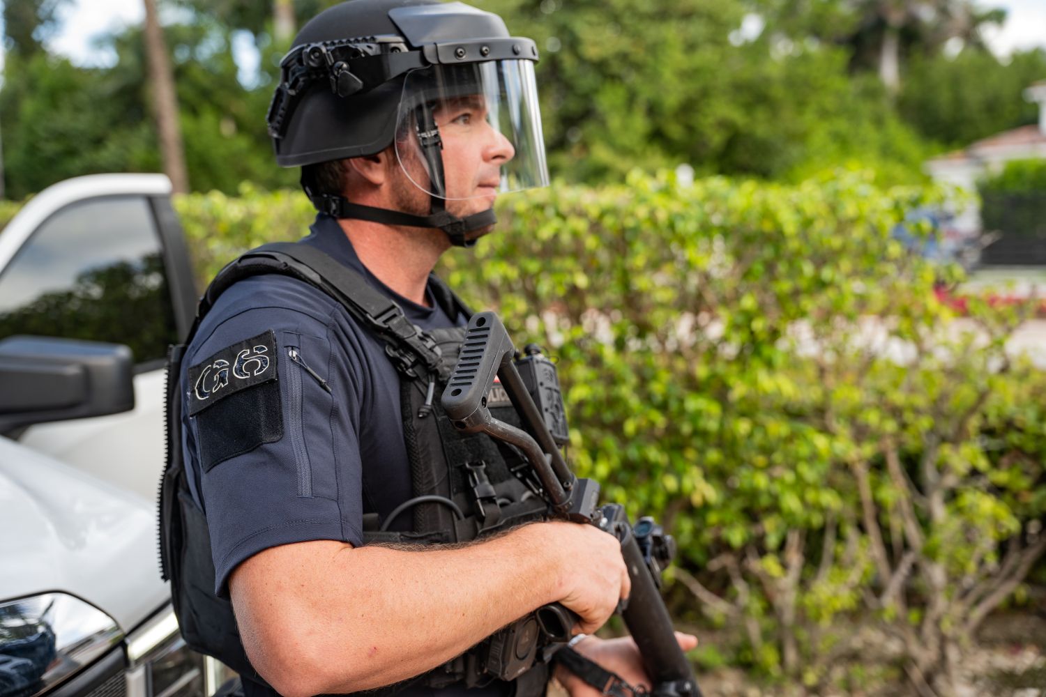 Web Face Shield DSC05398